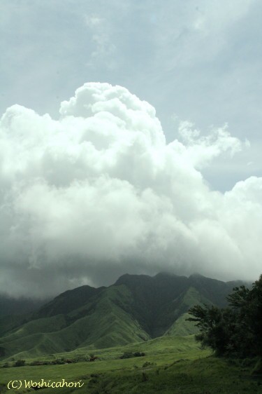 c0071221_1645377.jpg