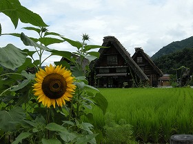 b0132522_0384779.jpg