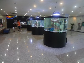 f0011322_13352526.jpg