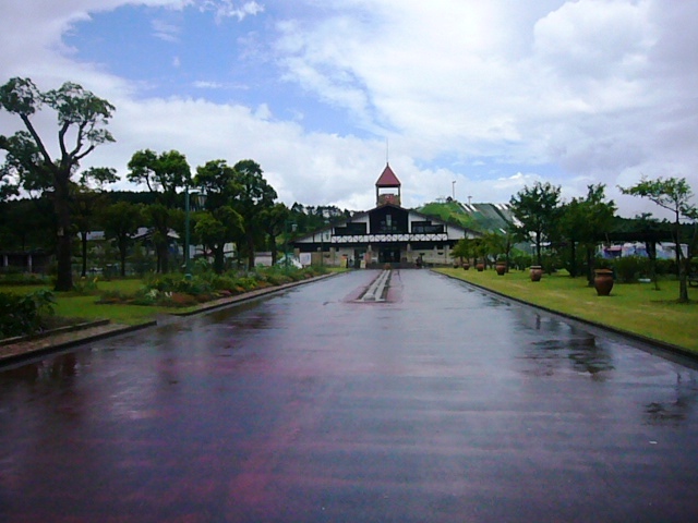 e0133535_16574866.jpg