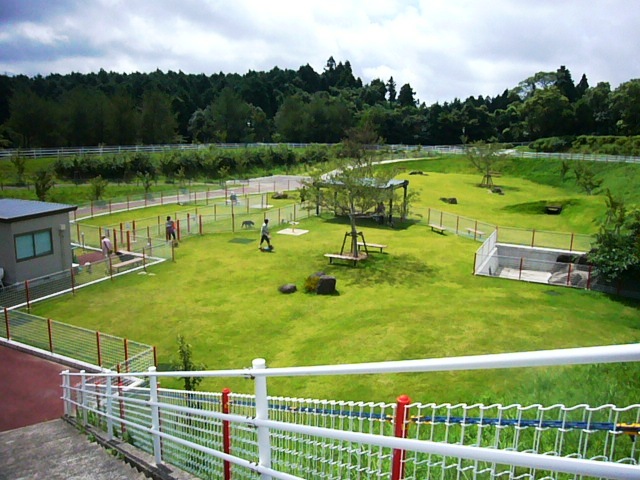 e0133535_1783969.jpg