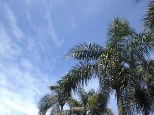 b0199742_20534089.jpg