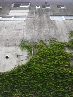 b0199742_20574087.jpg