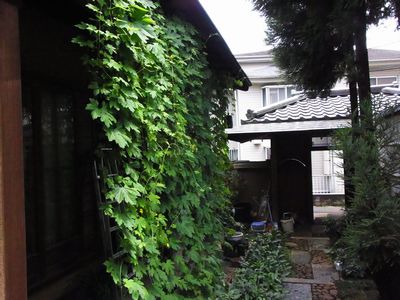 d0022845_12383271.jpg