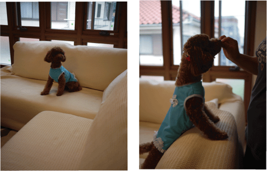 b0182846_21434186.gif