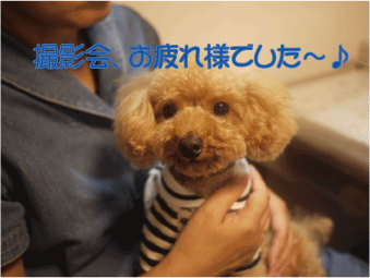 b0182846_21532333.gif