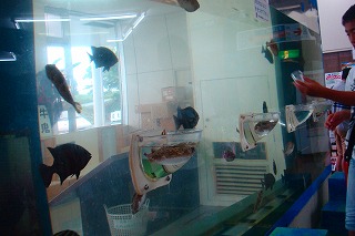 b0200747_1248544.jpg