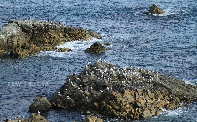 c0145250_9181965.jpg