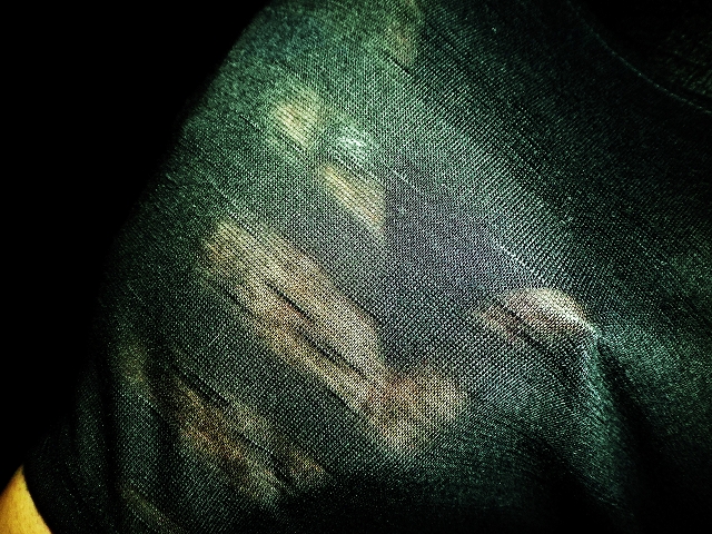 a0159652_1715678.jpg