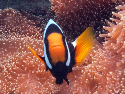 f0176156_15281735.jpg