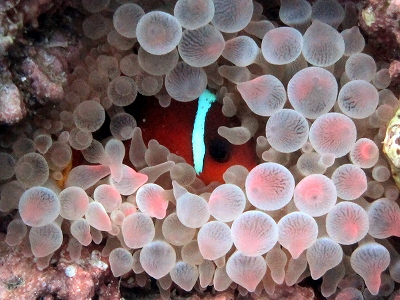f0176156_15285611.jpg