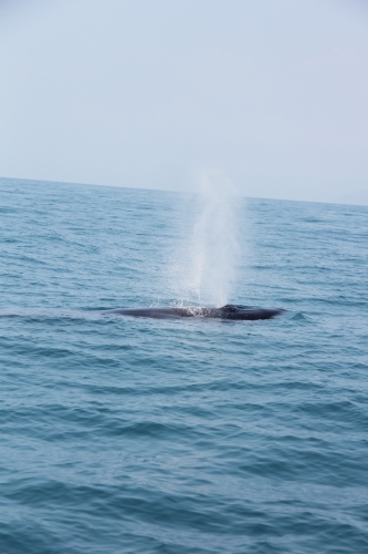 c0201257_231311.jpg