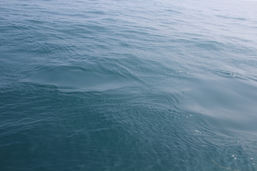 c0201257_23195797.jpg