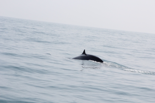 c0201257_2373842.jpg