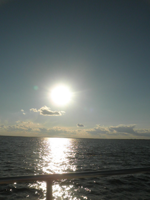 d0181461_23193574.jpg