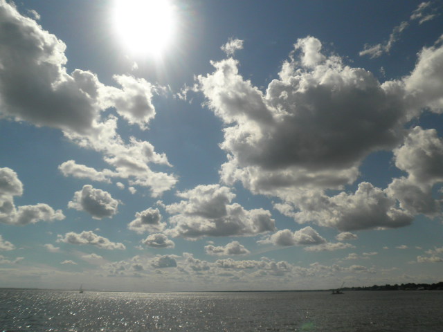 d0181461_23637.jpg