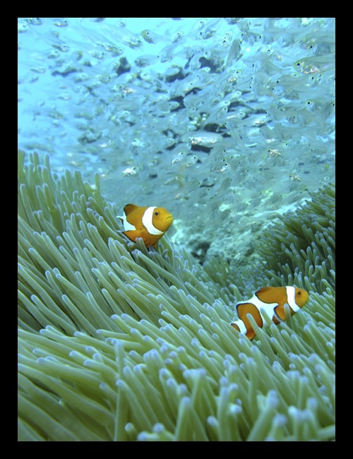 b0062363_17362272.jpg