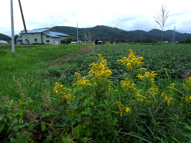 b0130166_2351572.jpg