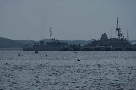c0122266_918026.jpg