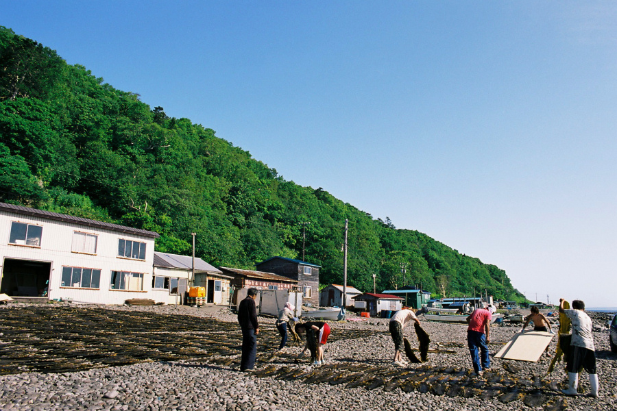 e0051186_20152250.jpg