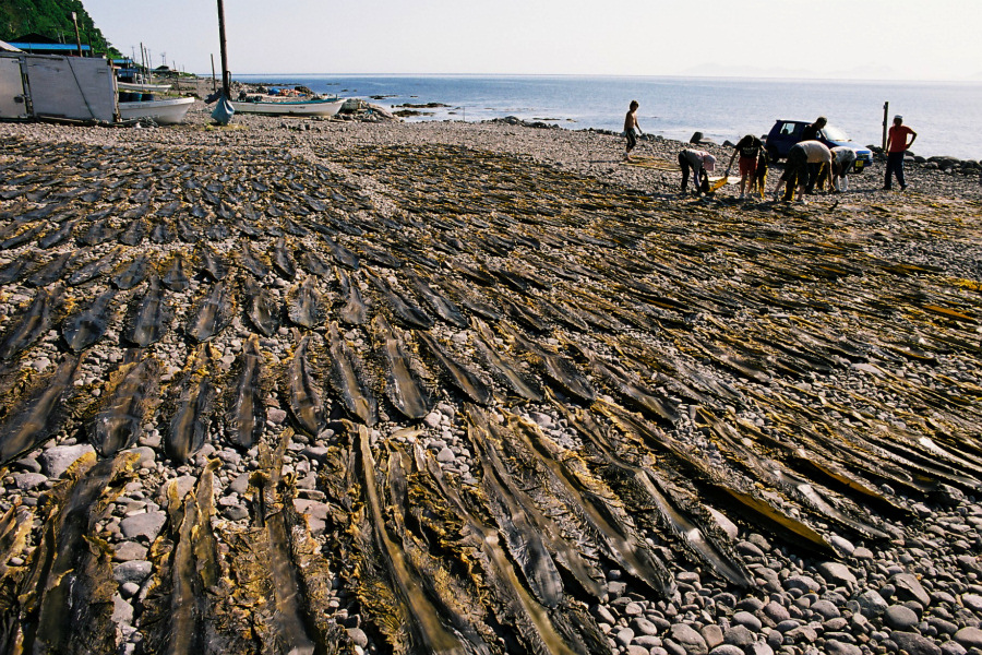 e0051186_20153118.jpg