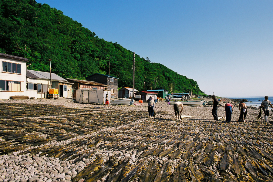 e0051186_20154137.jpg