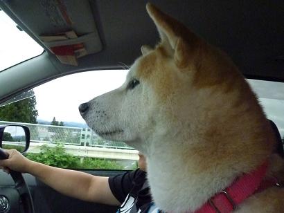 c0123890_10511371.jpg