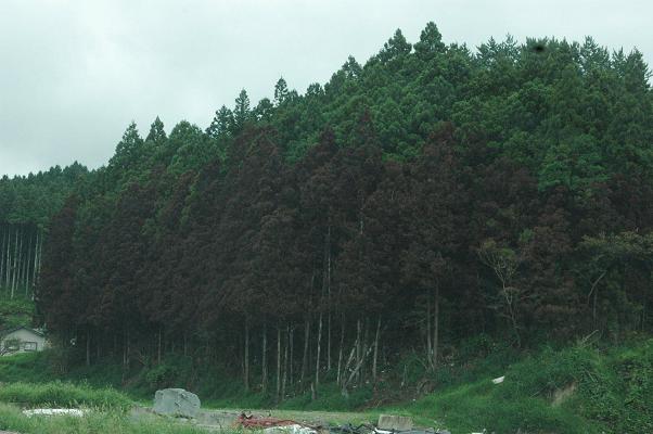 c0123890_14261758.jpg
