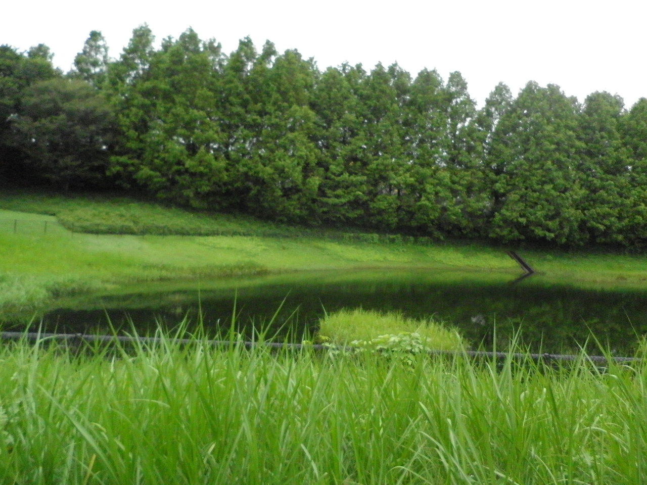 c0068891_1622799.jpg