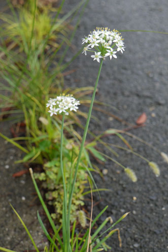 f0222692_12442892.jpg