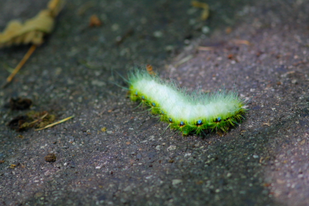 d0133693_1115457.jpg
