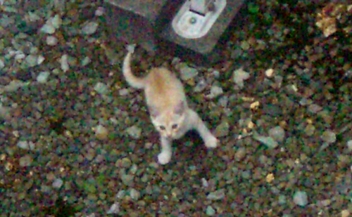 b0099994_18151356.jpg
