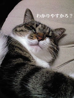 c0035001_1502330.jpg