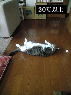 c0035001_1502765.jpg