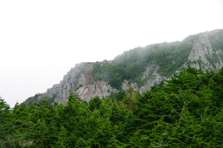 a0158802_23374342.jpg