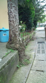 e0082110_0373599.jpg
