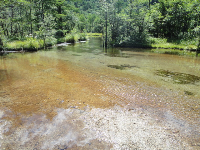 c0175712_2322485.jpg