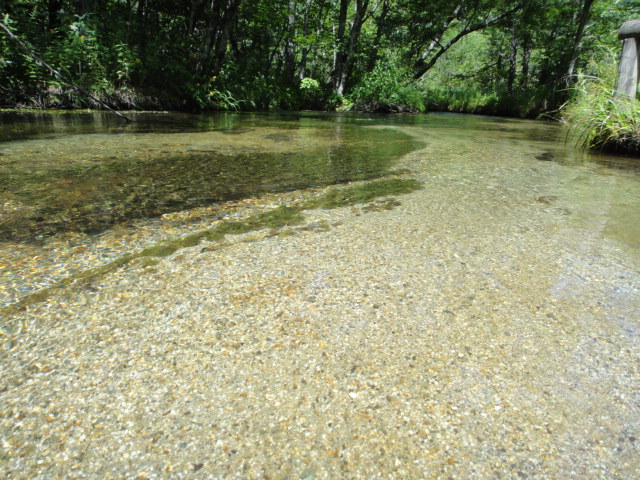 c0175712_23235417.jpg