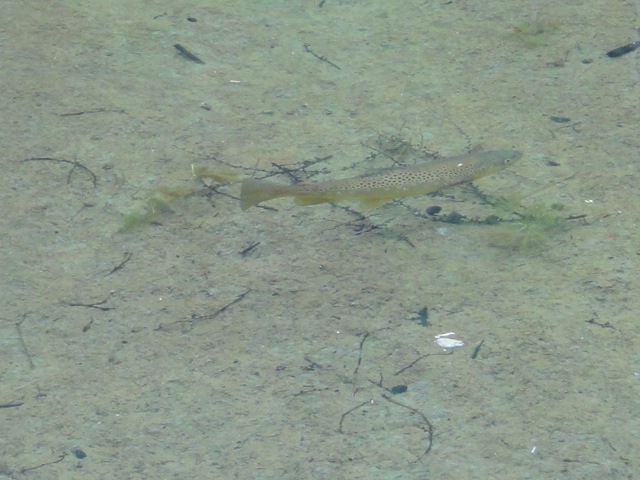 c0175712_23311972.jpg