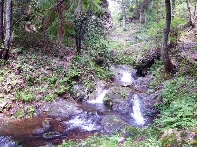 d0170615_1631524.jpg