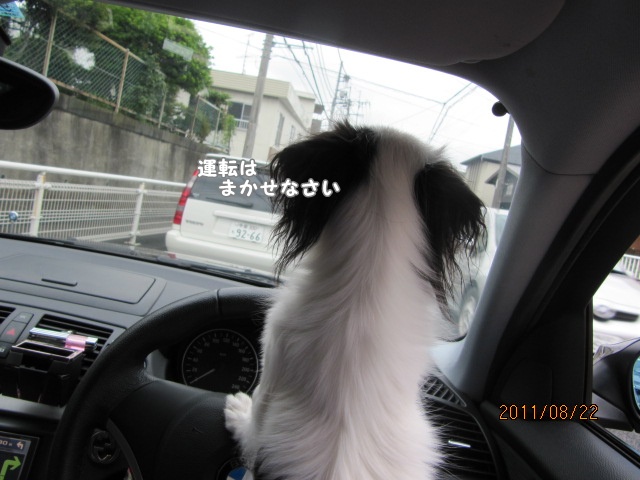 c0200916_1162335.jpg
