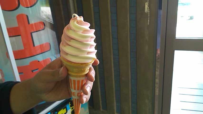 d0223119_6323813.jpg