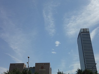 f0011322_2332798.jpg