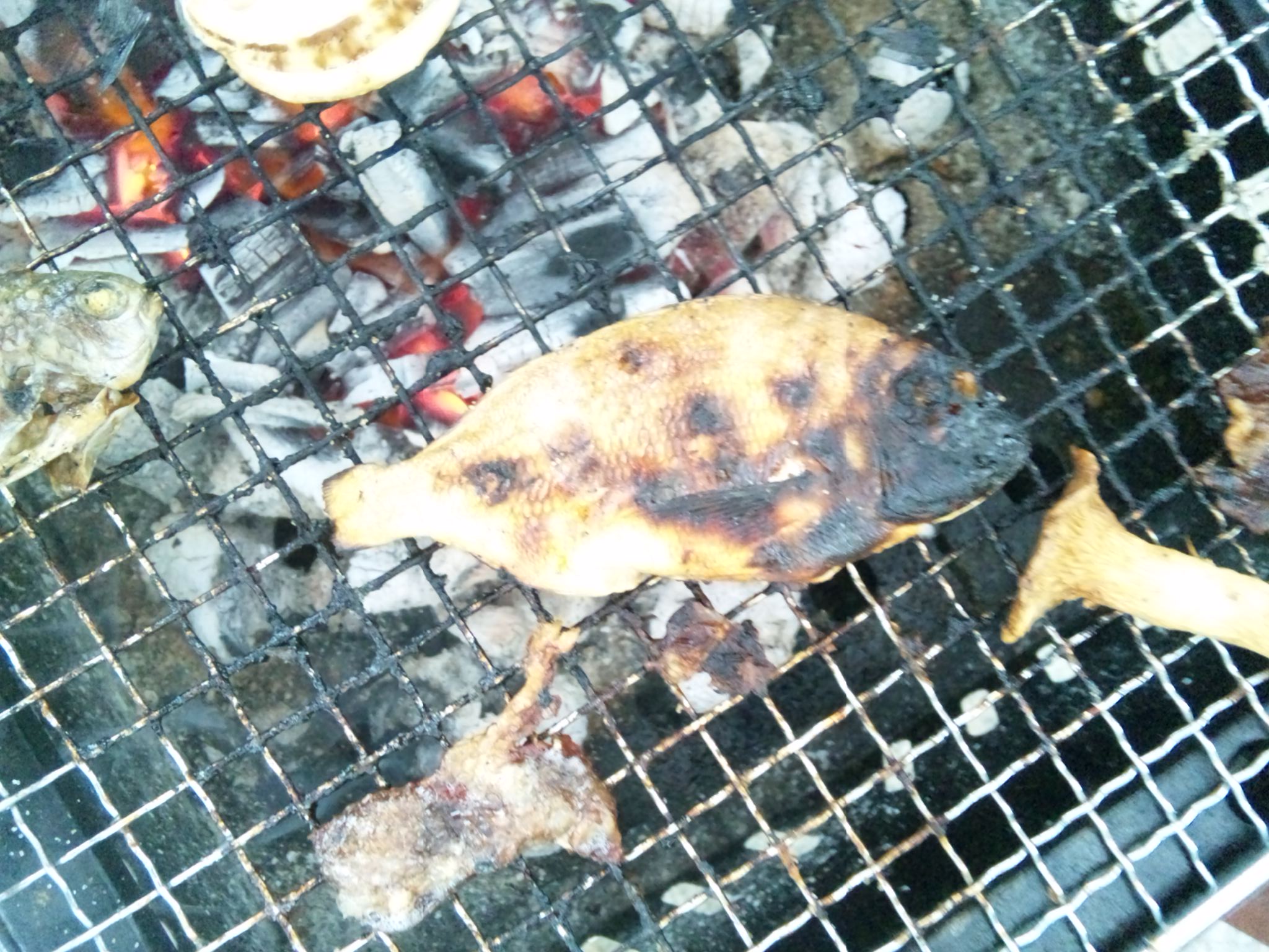 f0136526_1241291.jpg