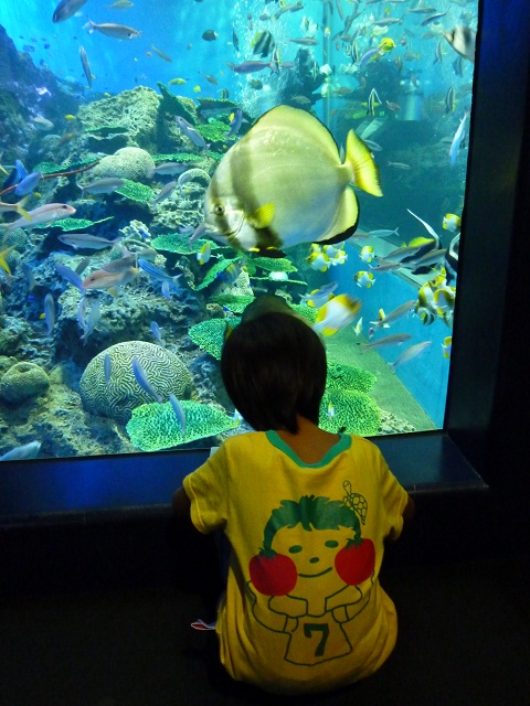 a0024829_735881.jpg