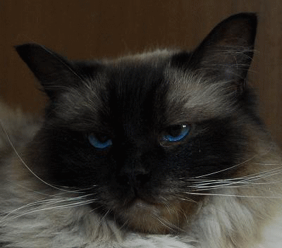 d0252835_15383691.gif
