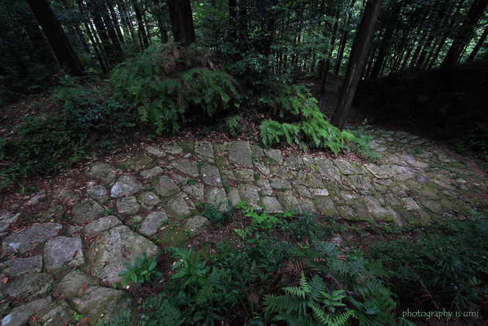 e0083238_2340659.jpg
