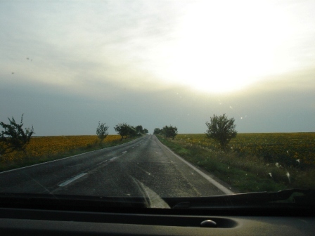 d0227344_7412830.jpg