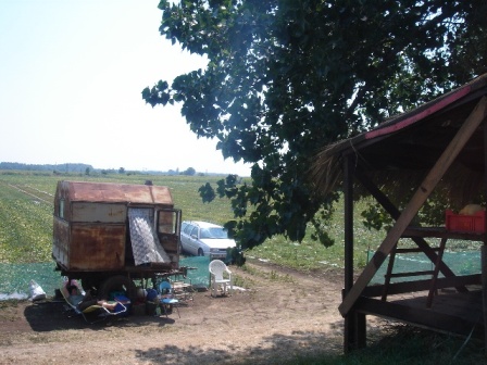 d0227344_772638.jpg
