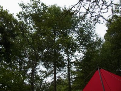 e0126046_1431145.jpg